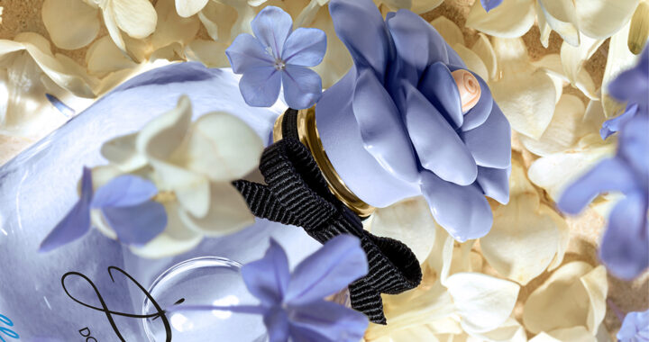 Dolce&Gabbana Dolce Blue Jasmine Eau de Parfum: A Fragrant Symphony