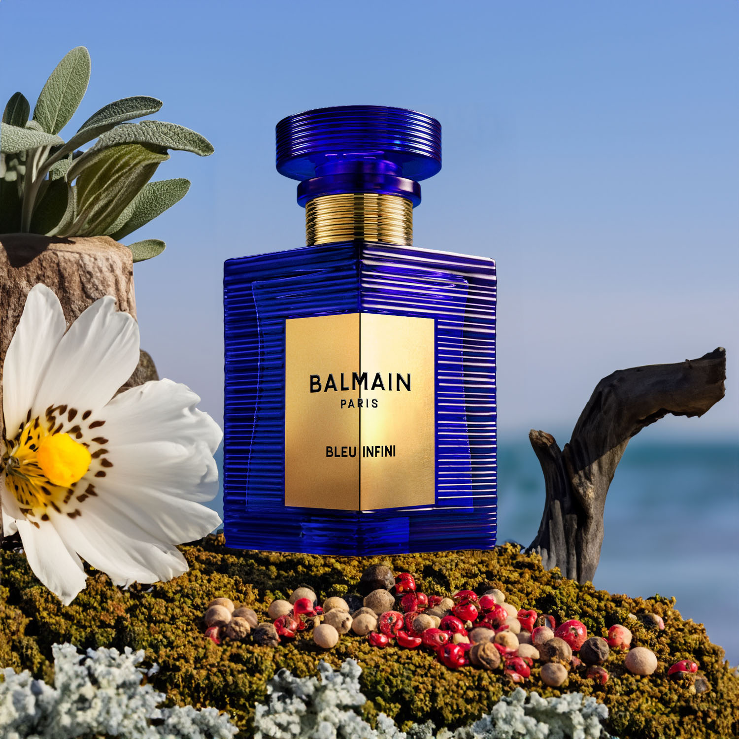 balmain bleu infini 2024 woody aromatic fragrance