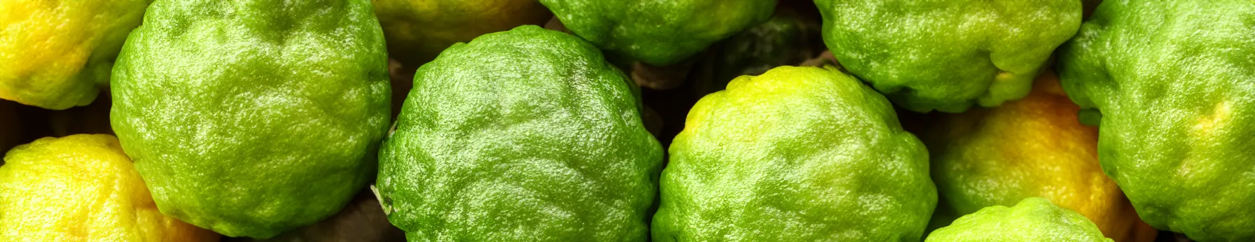 bergamot