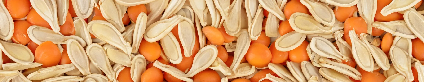 carrot seeds in perfumes