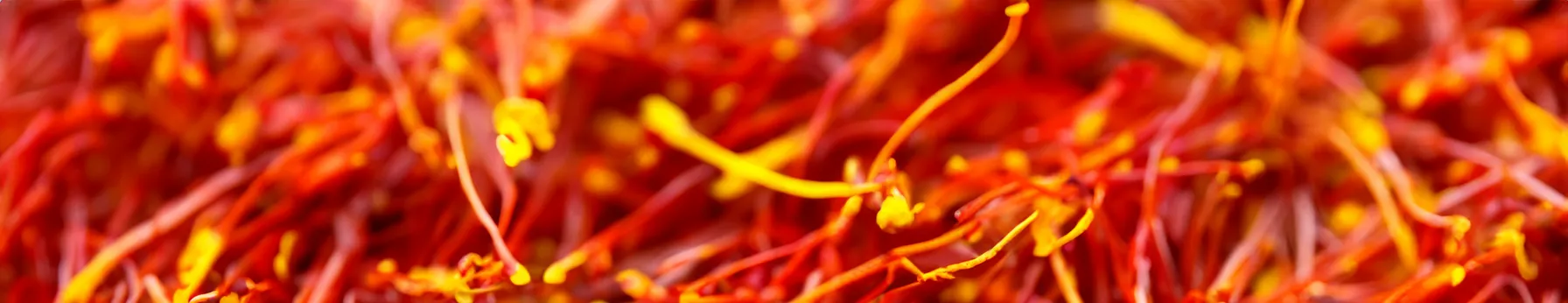 the allure of saffron in perfume