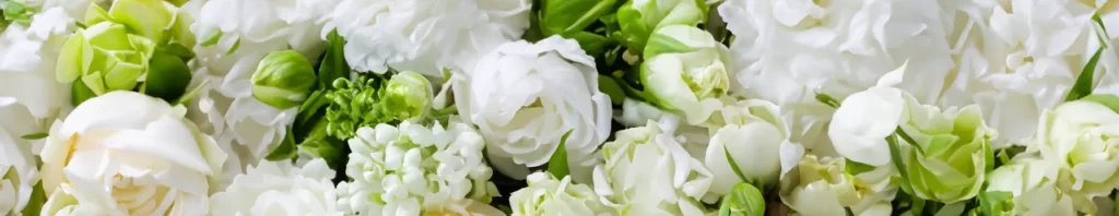 the allure of white flowers in perfumes