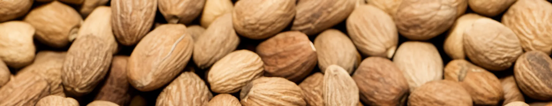 the spicy allure of nutmeg in perfumes