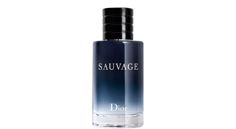 dior sauvage 2015 aromatic fougere fragrance