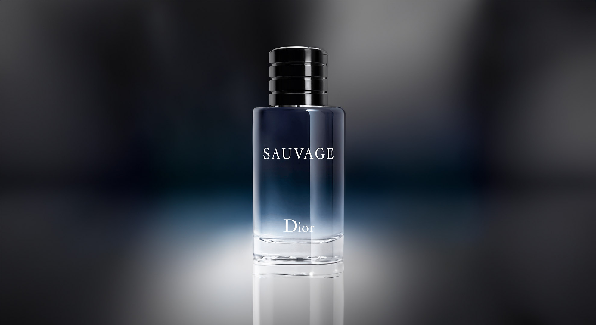 dior sauvage 2015 aromatic fougere fragrance for men