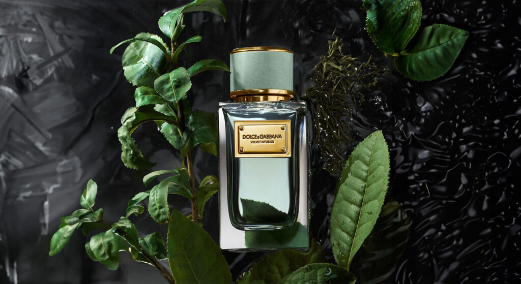 Dolce & Gabbana Velvet Infusion: A Journey Through Scent