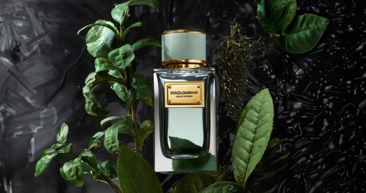 dolce & gabbana velvet infusion 2024 a journey through scent