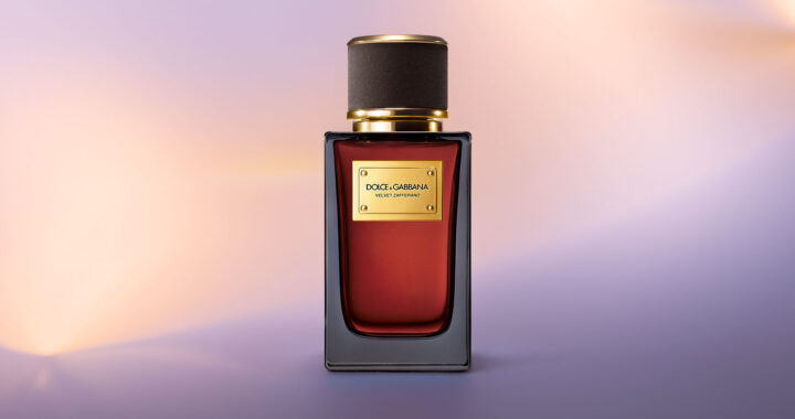 dolce & gabbana velvet zafferano fragrance of rich elegance