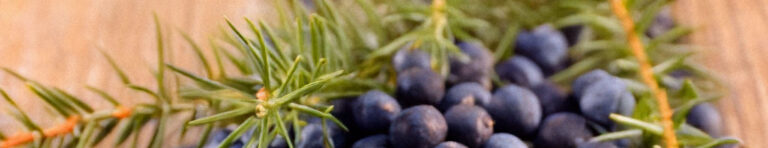 juniper berries in perfumes