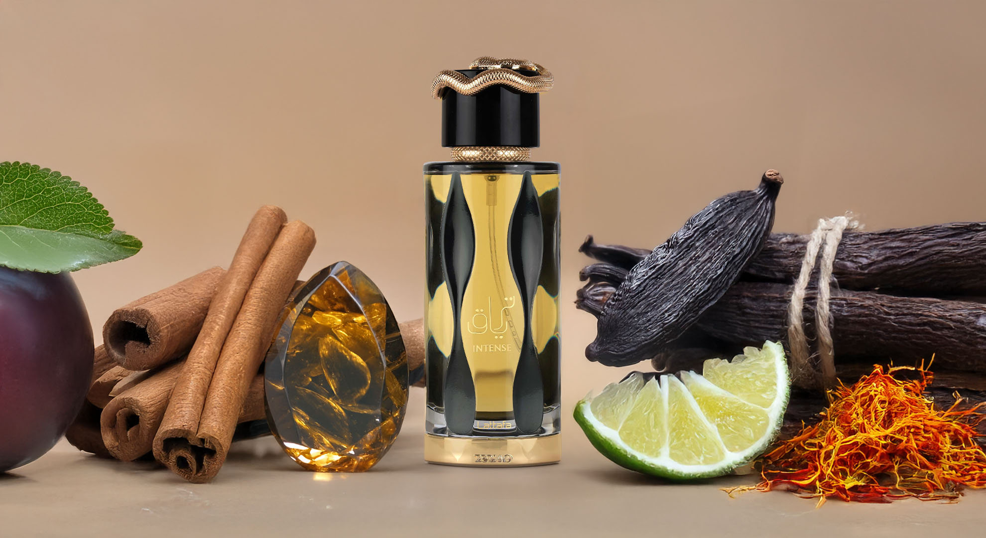 teriaq intense by lattafa perfumes bold symphony of spice and resin