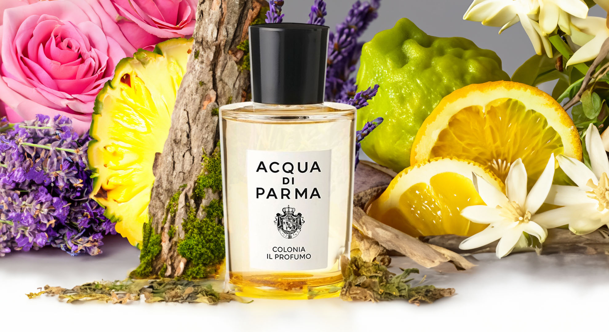 acqua di parma introduces colonia il profumo