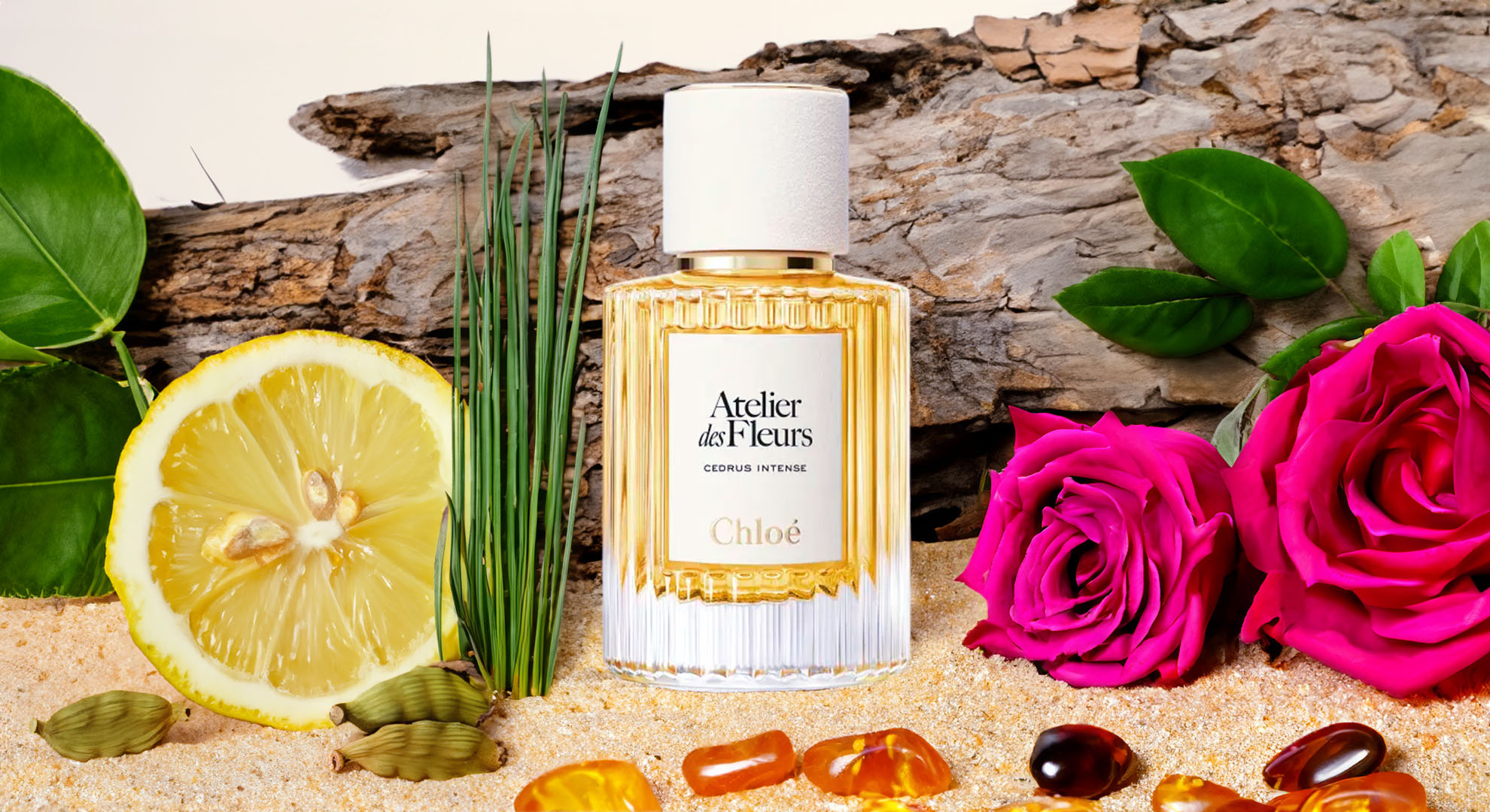 chloé atelier des fleurs cedrus intense a majestic symphony of woods 2025