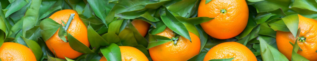 orange in perfumes