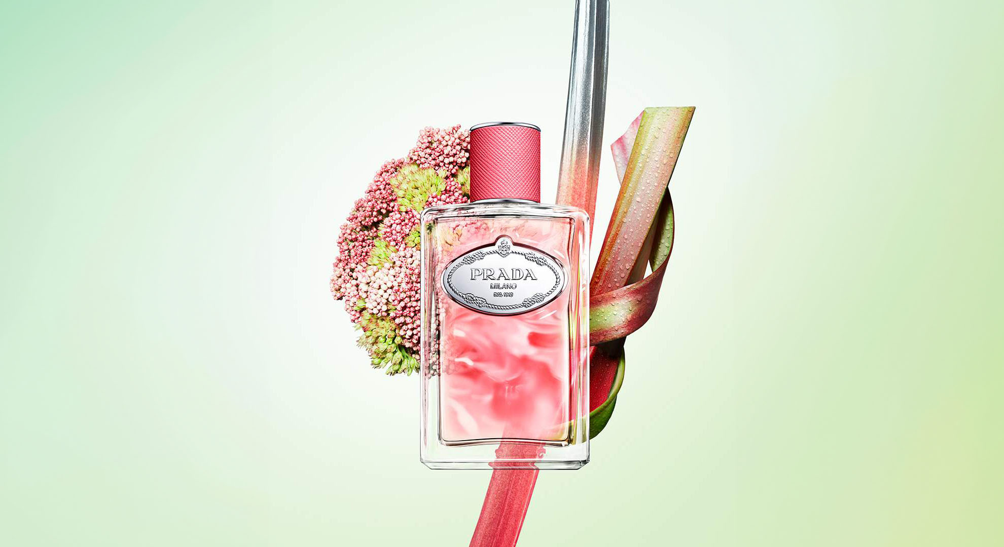 prada infusion de rhubarbe a fresh exploration of playful elegance 2024