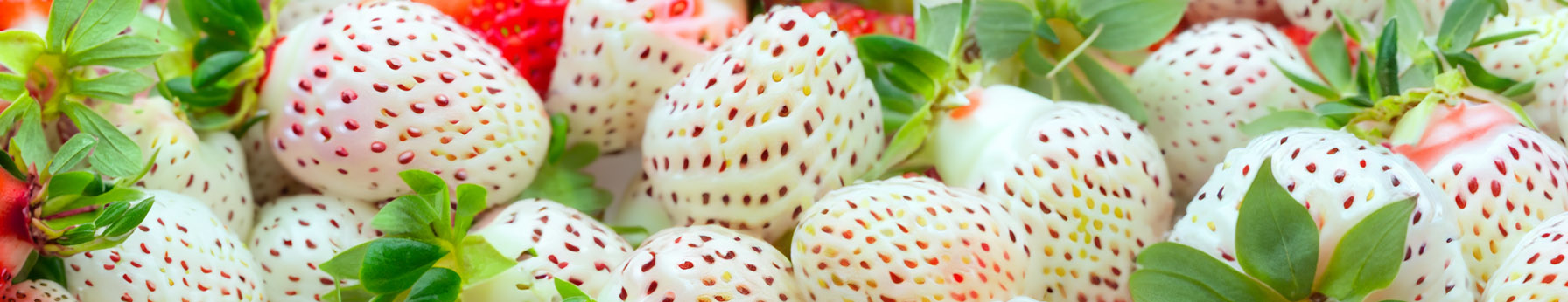 white strawberry in perfumes