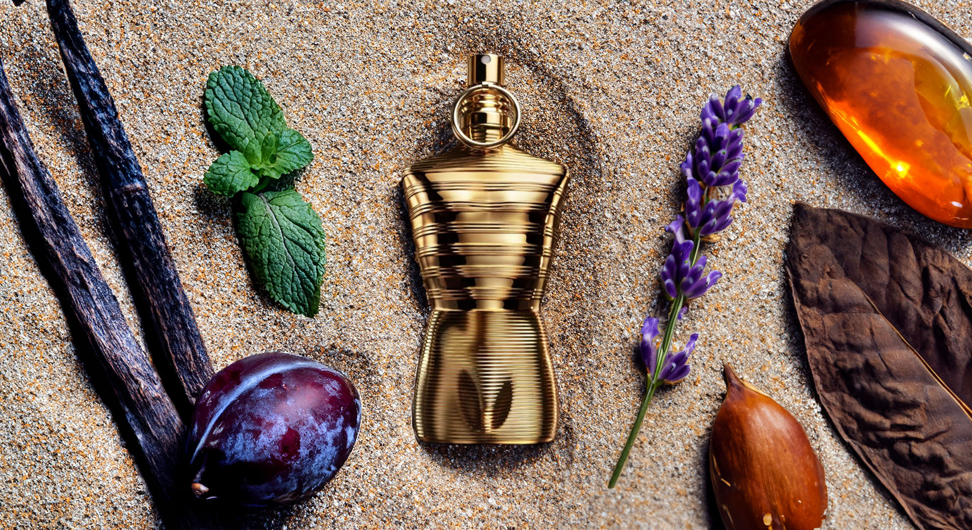 the essence of Jean Paul Gaultier le male elixir absolu