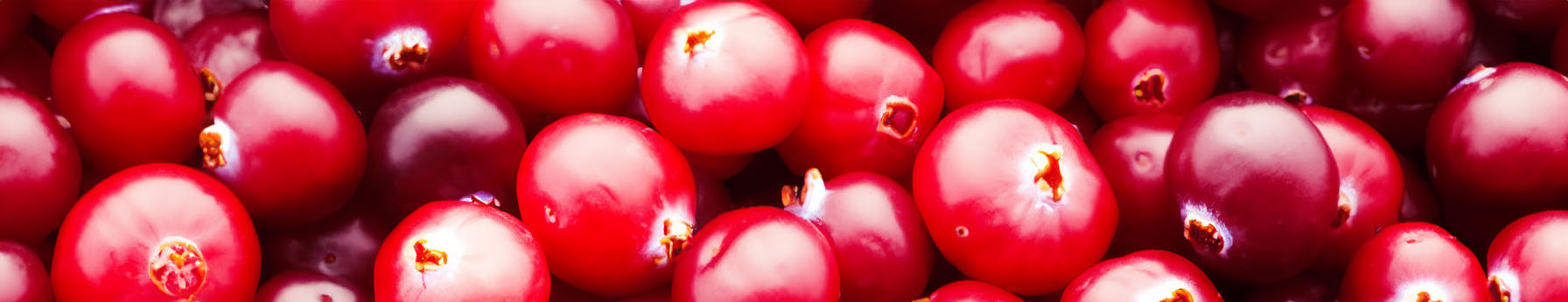 cranberry in perfume