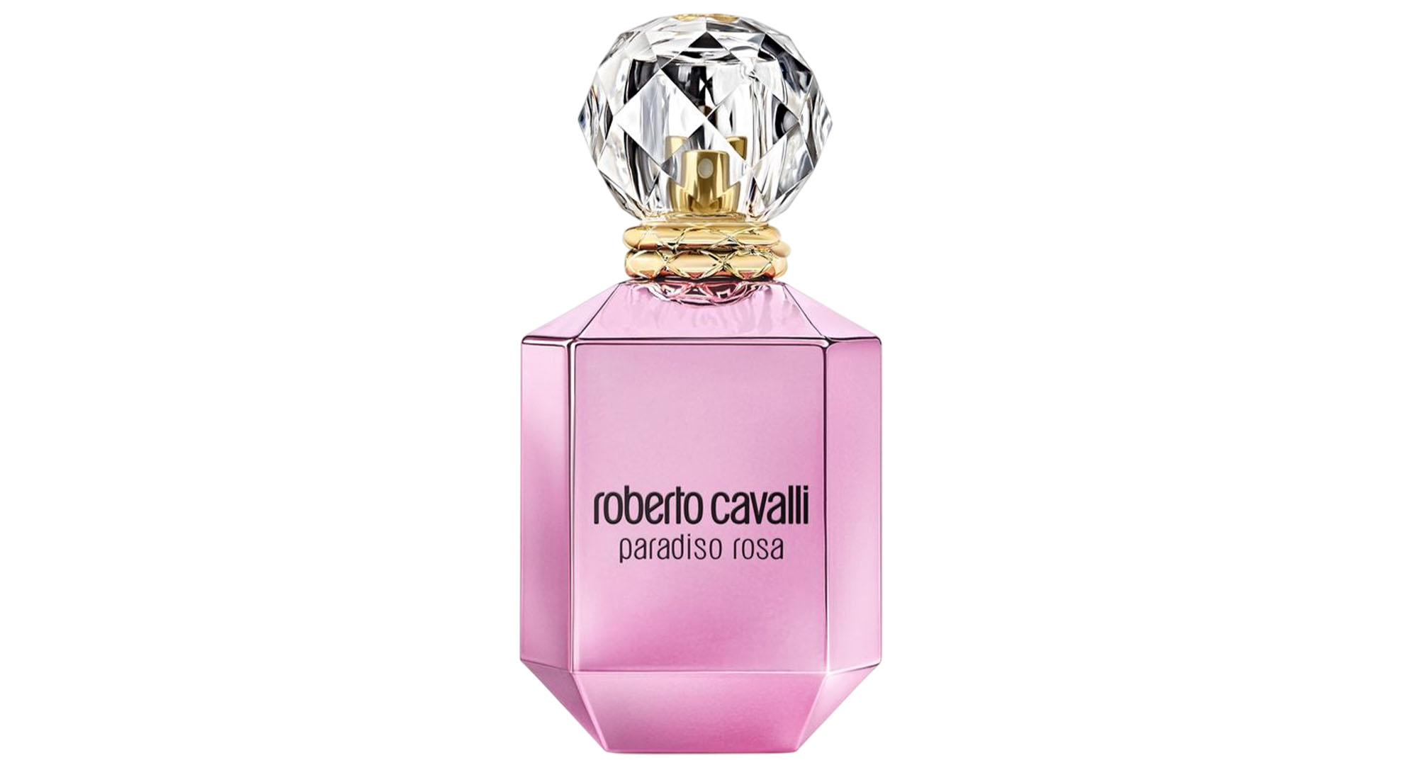 paradiso rosa by roberto cavalli