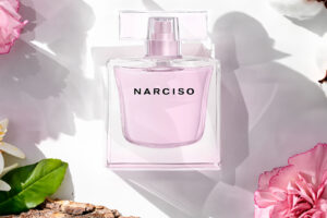 Narciso Radiante: Embracing Purity and Calm